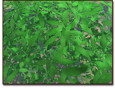 The terrain model works with the leaf texture to create a dimensional look