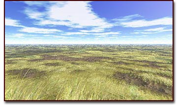 Grass textures on Bryce terrains