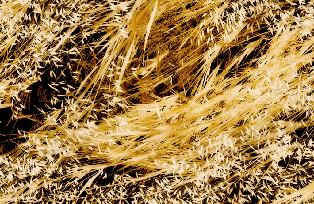 Detail of an image hose painting depicting fallen grasses