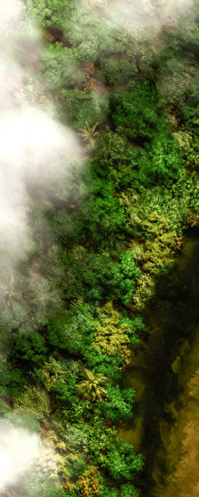 Aerial view painting demonstration